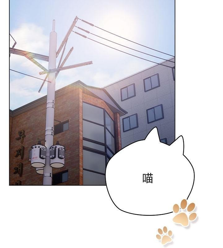 猫猫牵红线 第18話 韩漫图片4