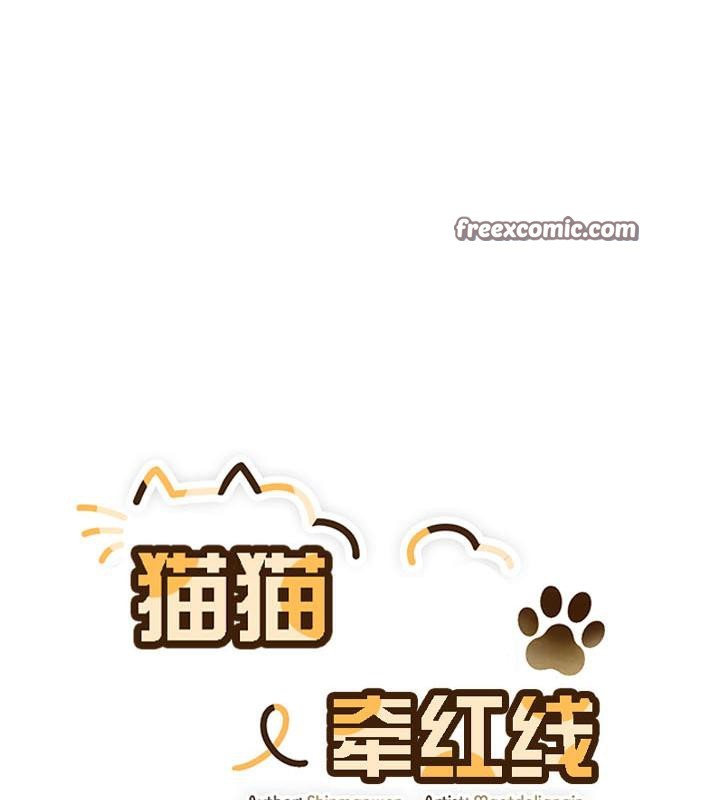 猫猫牵红线 第18話 韩漫图片16