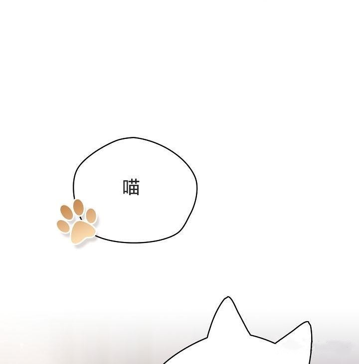 猫猫牵红线 第18話 韩漫图片5
