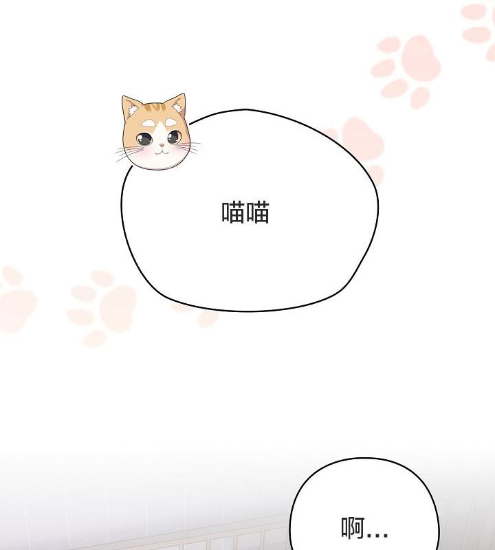 猫猫牵红线 第18話 韩漫图片8