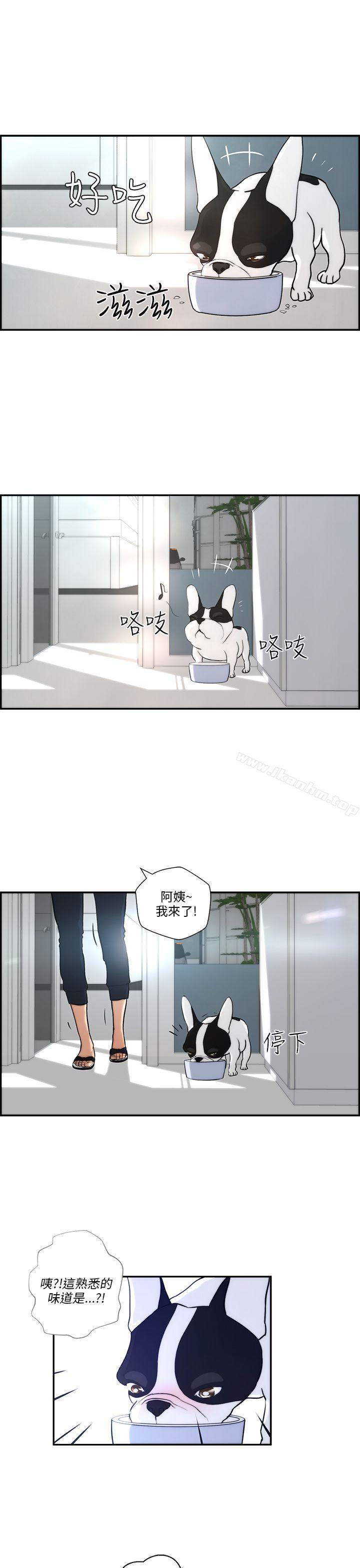 變成狗的男人漫画 免费阅读 第4话 21.jpg