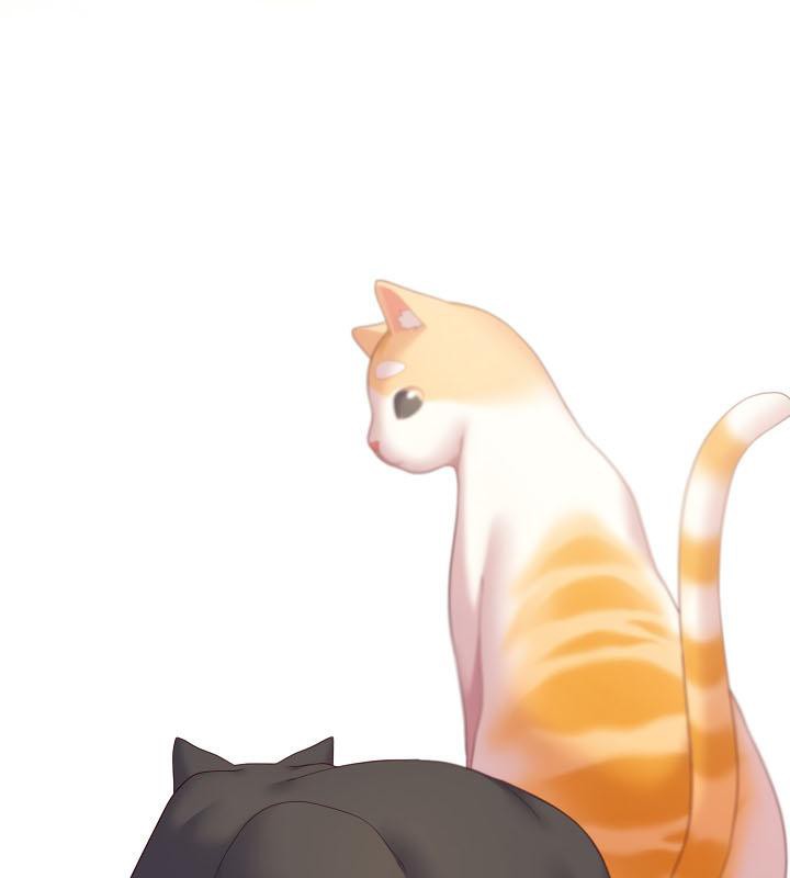 猫猫牵红线 第19話 韩漫图片73