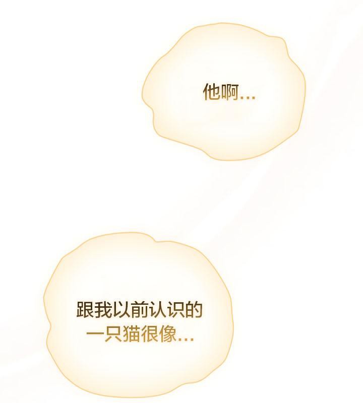 猫猫牵红线 第19話 韩漫图片72
