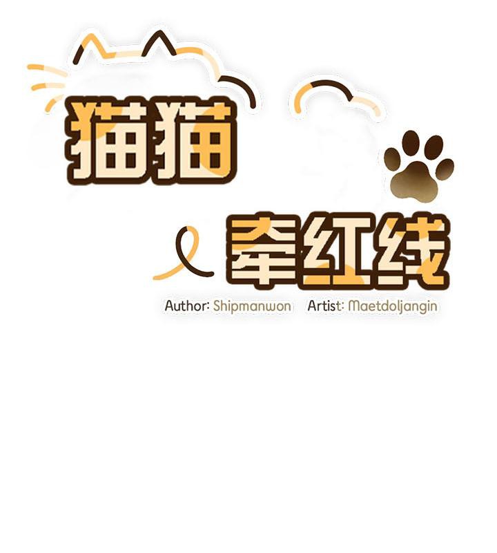 猫猫牵红线 第19話 韩漫图片39