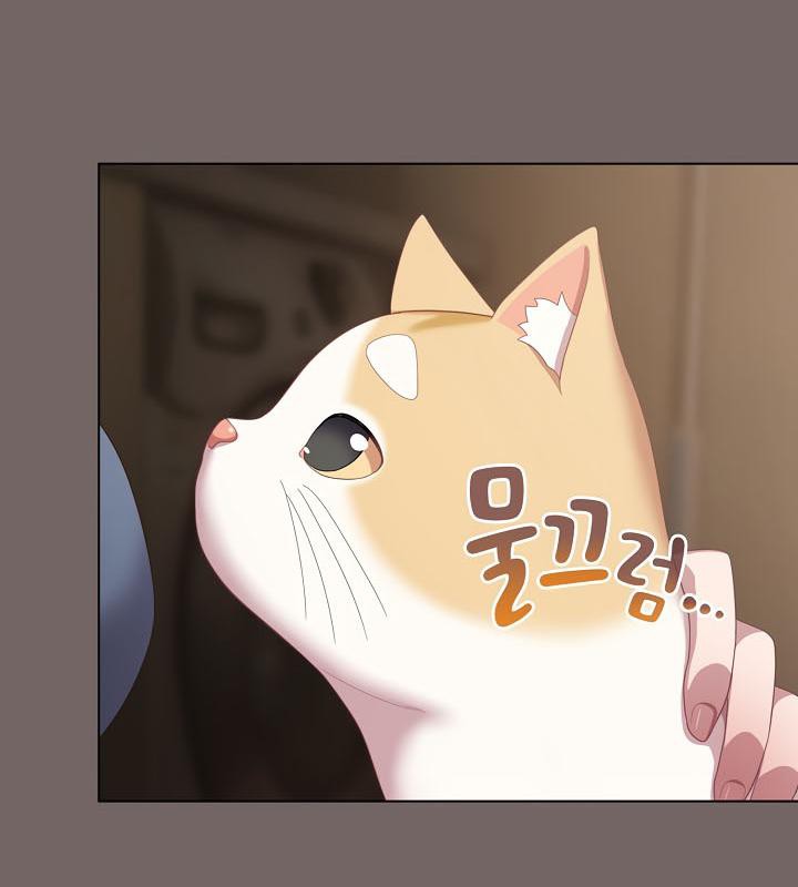 猫猫牵红线 第20話 韩漫图片166