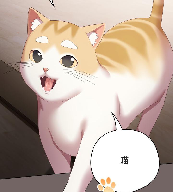 猫猫牵红线 第20話 韩漫图片160