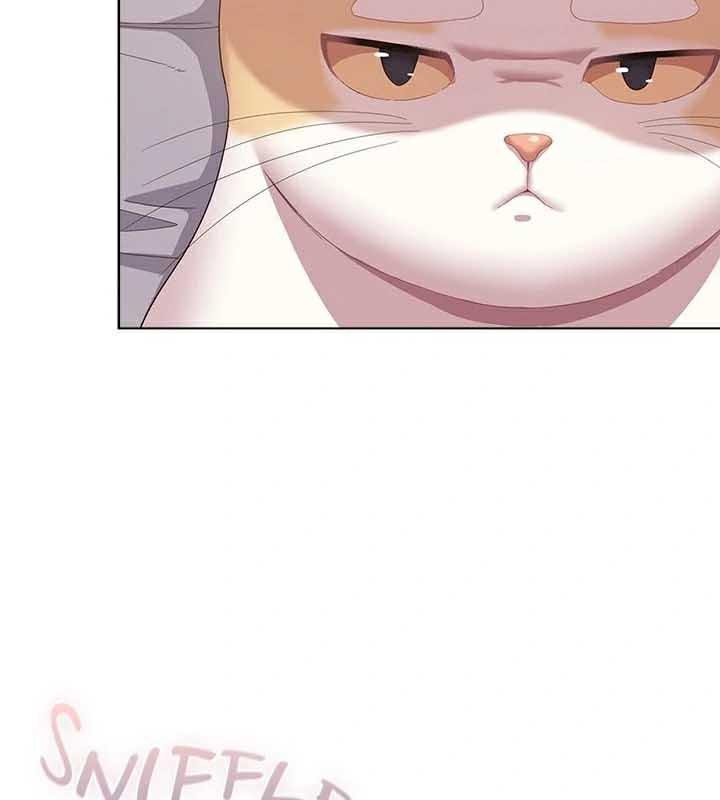 猫猫牵红线 第23話 韩漫图片52