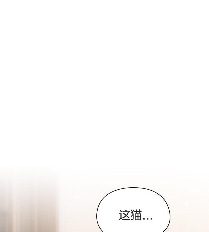 猫猫牵红线 第24話 韩漫图片6