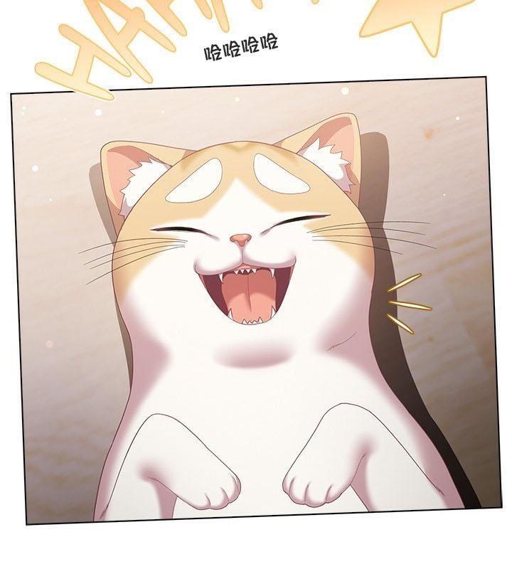猫猫牵红线 第24話 韩漫图片4
