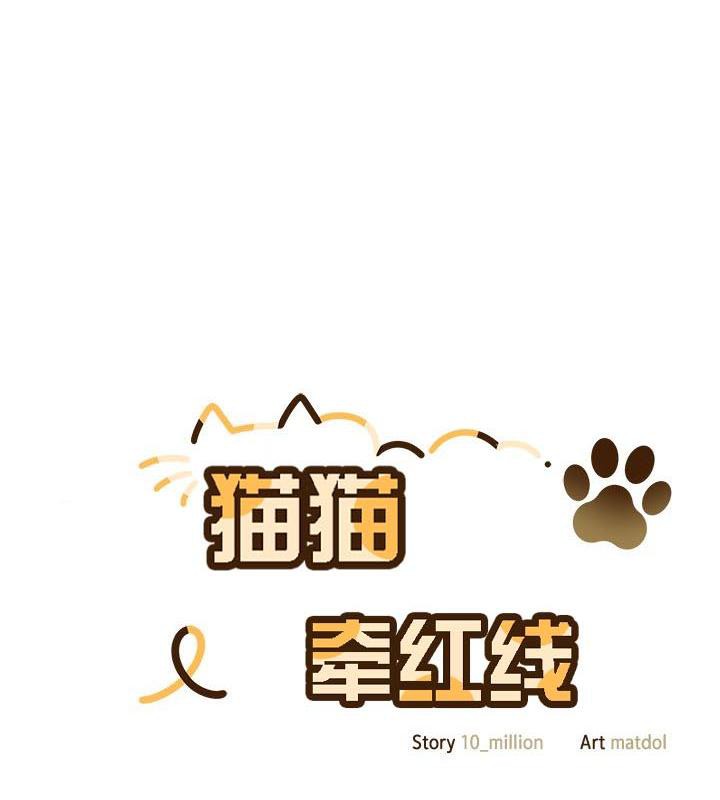猫猫牵红线 第24話 韩漫图片77