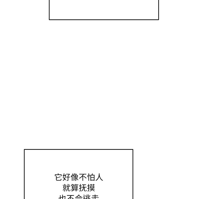 喵来的恋爱 第1話 韩漫图片84
