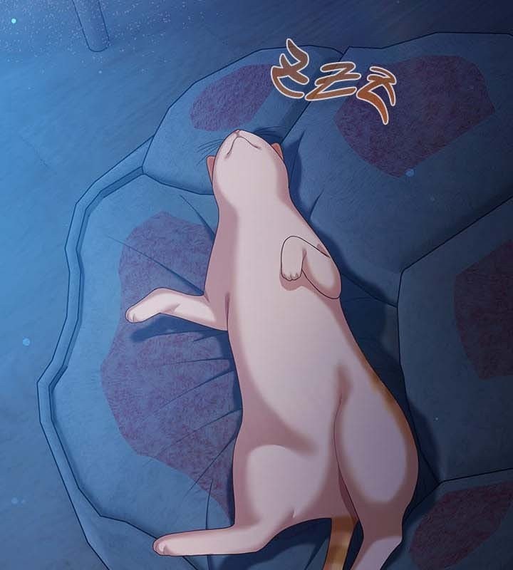 猫猫牵红线 第27話 韩漫图片4
