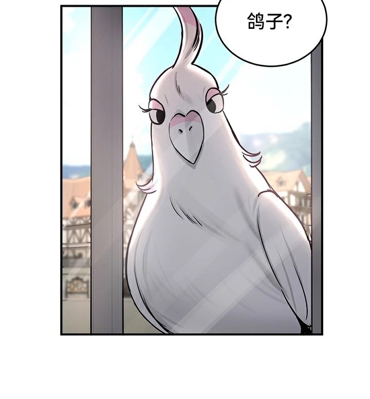 重生士兵的雌性征服日誌!/异世界重生之后宫养成记 第61話 韩漫图片93