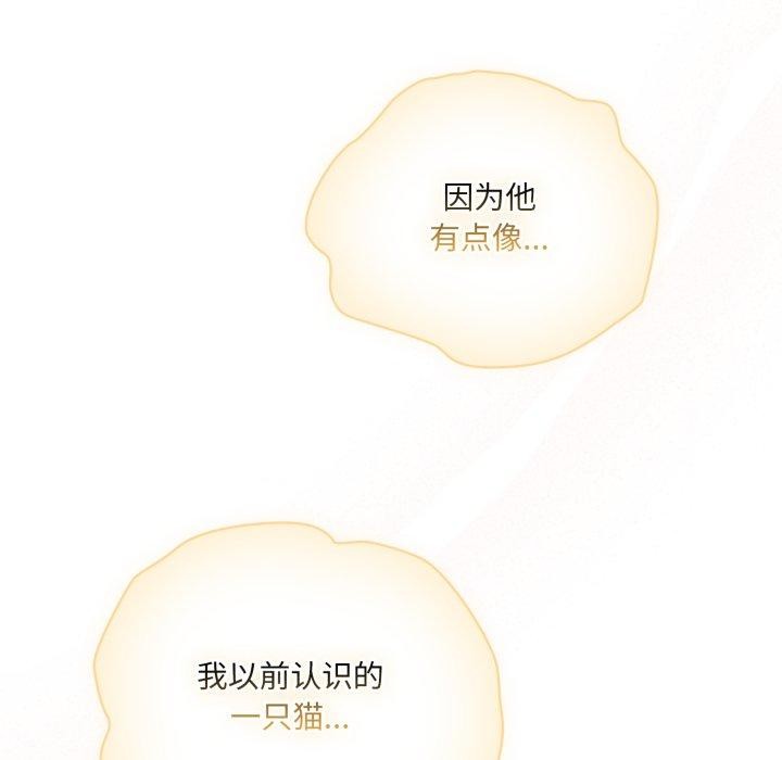 喵来的恋爱 第19話 韩漫图片72